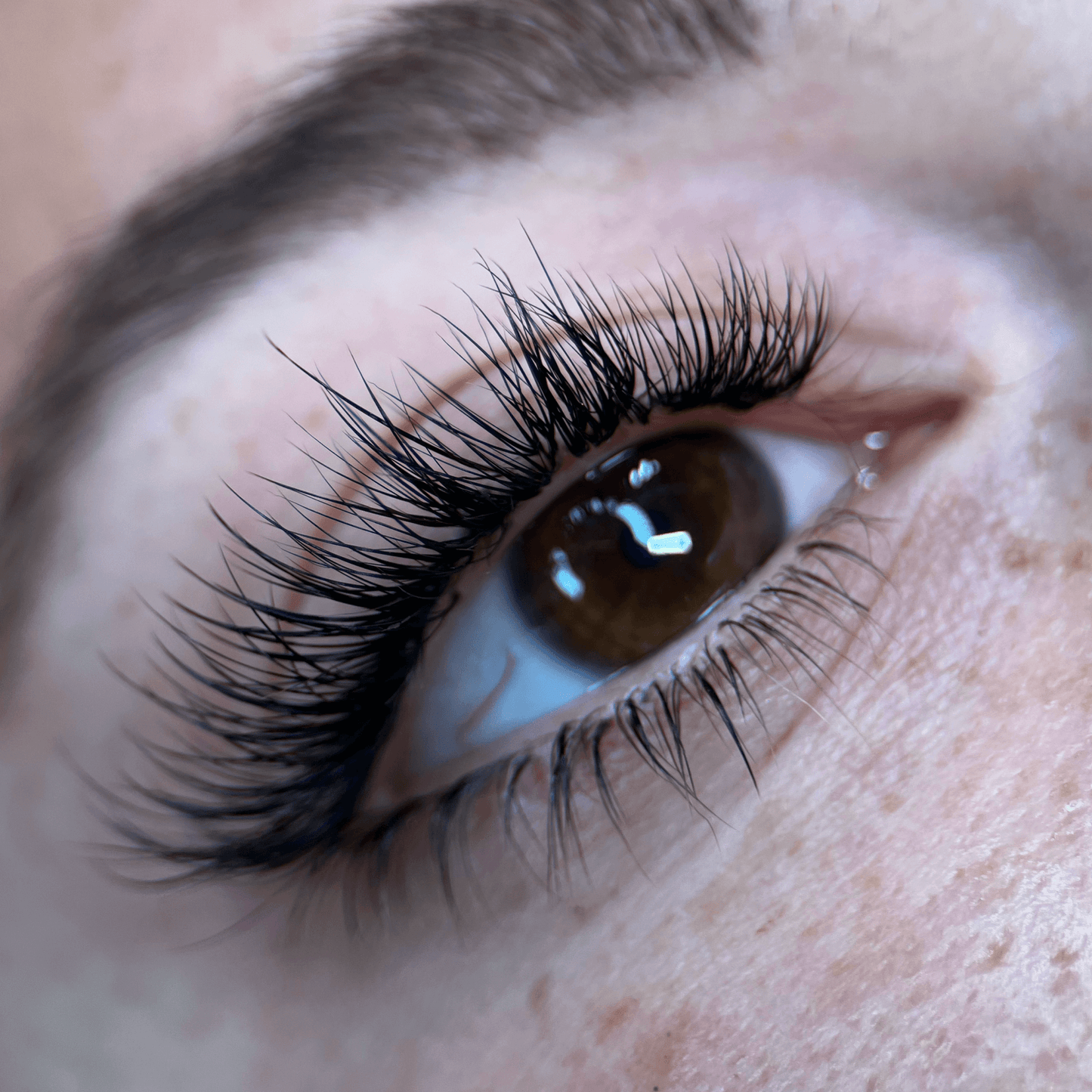 Dare To Do BOTTOM LASHES™ - The Ultimate Guide