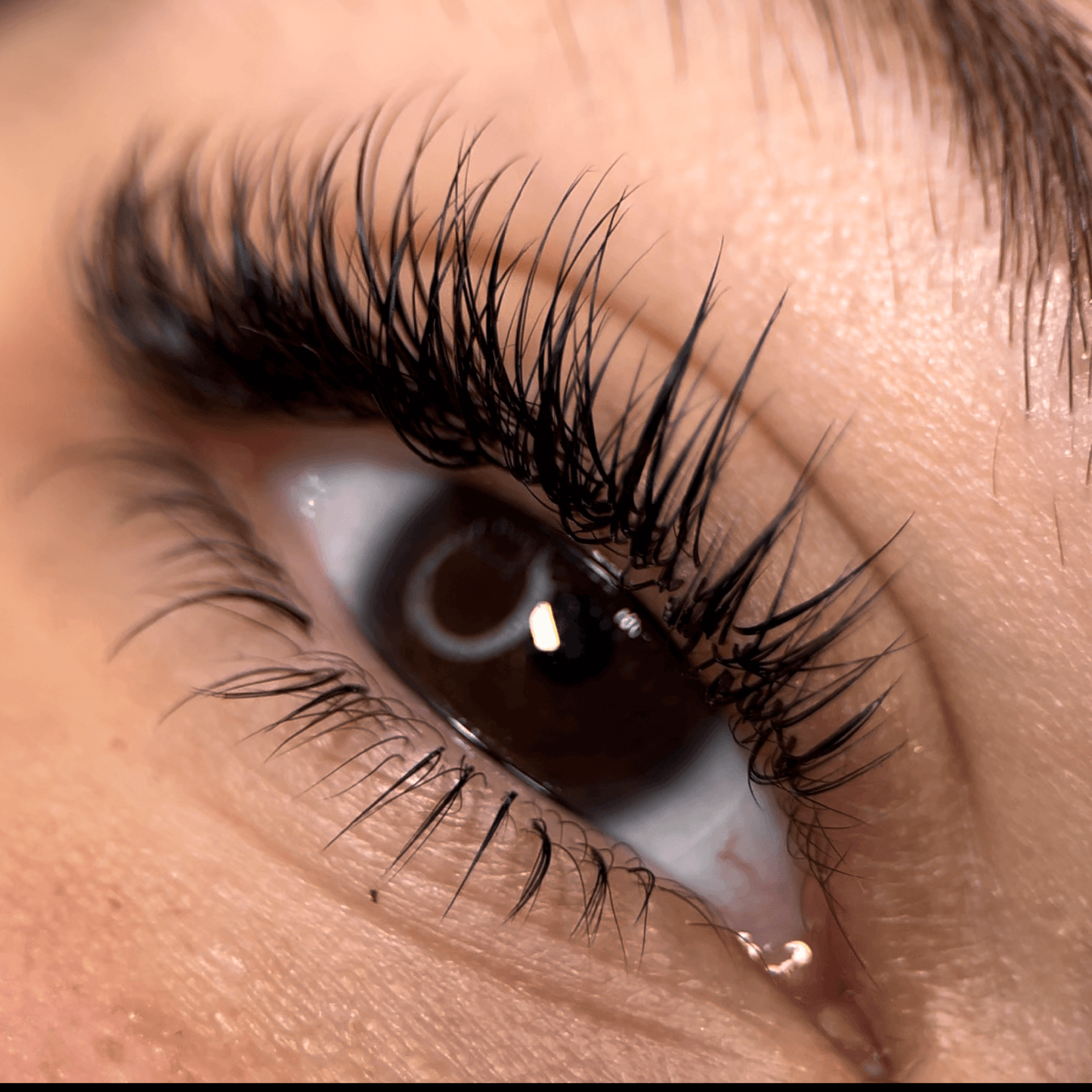 Dare To Do BOTTOM LASHES™ - The Ultimate Guide